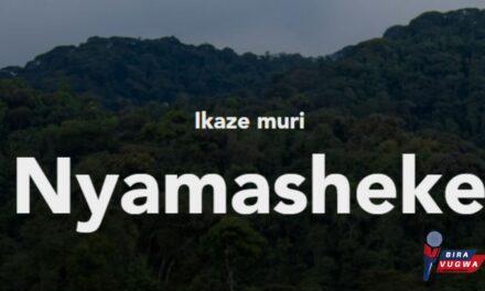 15 Job Posts for Forest Extentionnist at Nyamasheke District